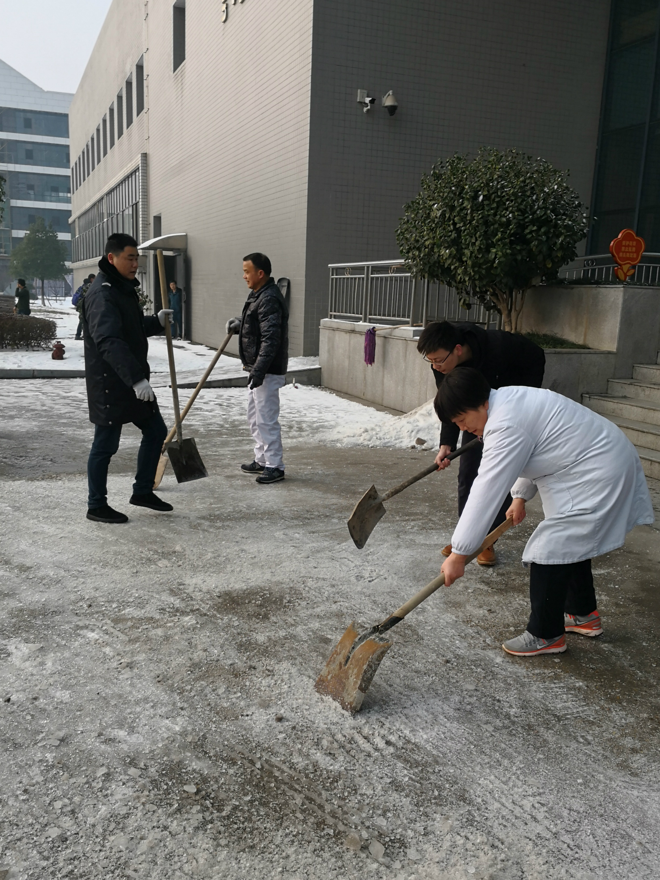 我院职工铲冰除雪，为病人开通“安全通道”